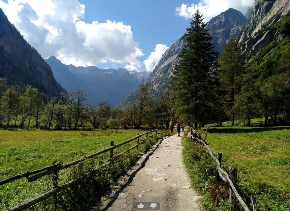 Appartamento Il Nido Tra Verde E Natura Berbenno di Valtellina ภายนอก รูปภาพ